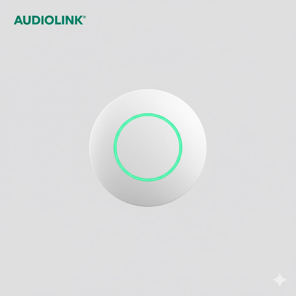 WIRELESS ACCESS POINT